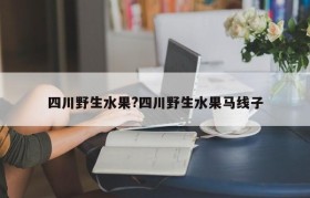 四川野生水果?四川野生水果马线子